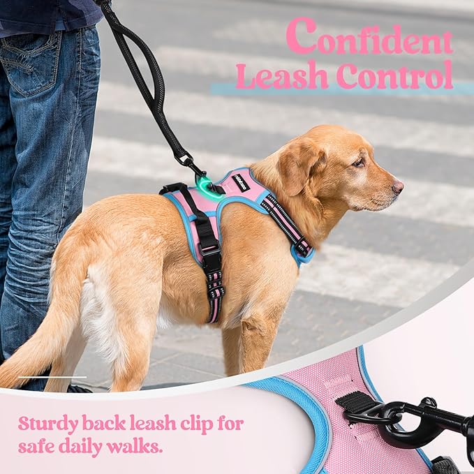 rabbitgoo Dog Harness No Pull with 2 Leash Clips, Adjustable Soft Padded, Reflective Oxford No Choke Pet Vest with Easy Control Handle for Large Dogs, Pink & Blue, L