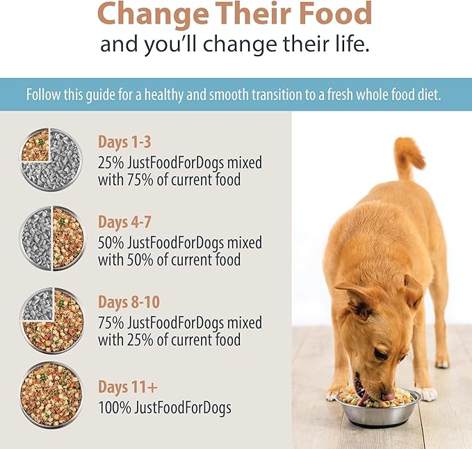 JustFoodForDogs DIY Nutrient Blend for Homemade Dog Food, Turkey & Whole Wheat Macaroni Recipe