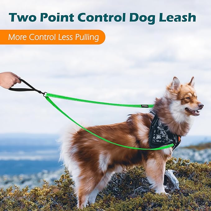 PetBonus Two Point Control Dog Leash, Works with No Pull Harnesses, No Tangle Training Leashes, Soft Padded and Reflective Walking Lead, Converts to Single Lead for Medium Large Dogs (Grass Green)