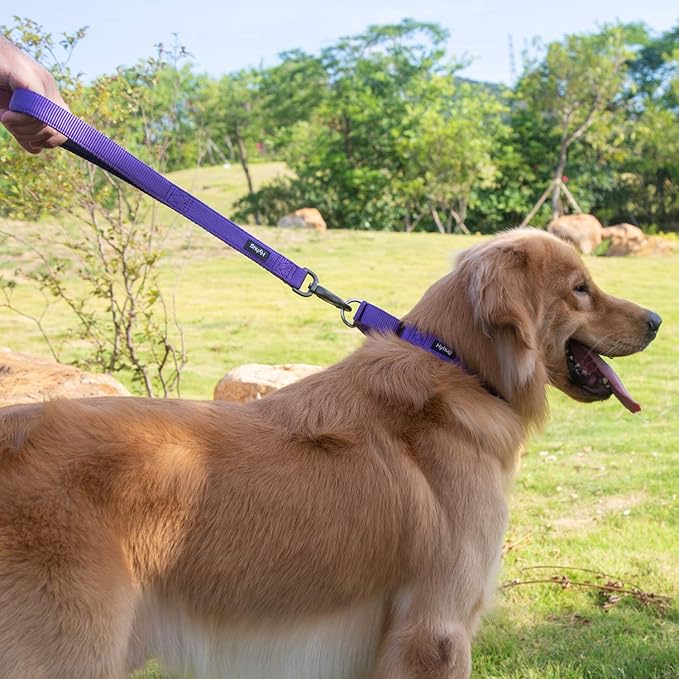 Hyhug Pets Premium Upgraded Heavy Duty Nylon Anti-Escape Martingale Collar for Boy and Girl Dogs Comfy and Safe - Daily Use Walking and Professional Training. (Large, Ultra Violet)