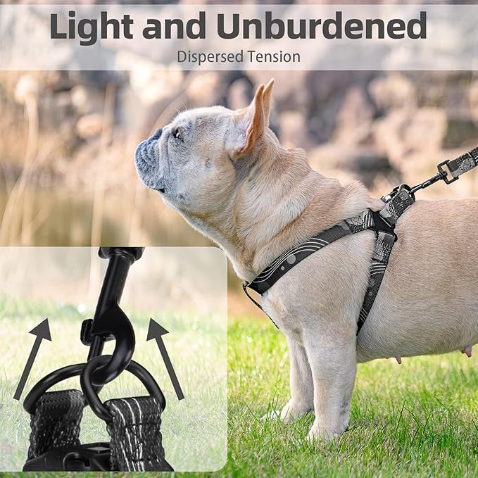 PUPTECK No Pull Dog Harness Soft Adjustable Basic Nylon Step in Puppy Vest Outdoor Walking with Leash Medium