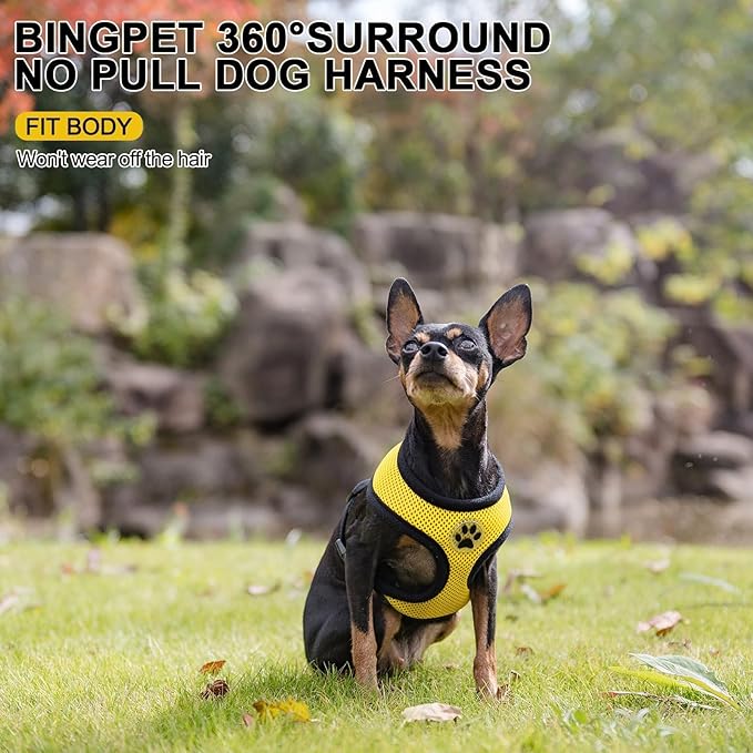 BINGPET No Pull Dog Harness, Soft Mesh Breathable All Weather Vest, Safety Protection Design, Durable Adjustable Step-in Easy Walk Harness for Small Dogs (Yellow, XS)