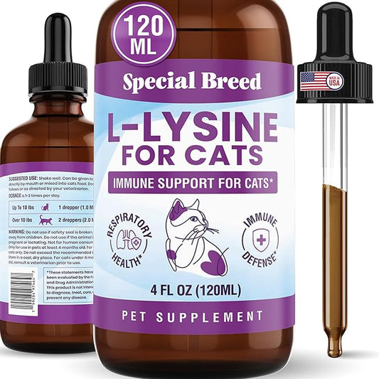 Special Breed L-Lysine for Cats & Kittens – Immune, Respiratory & Eye Health Support – Liquid Cat Supplement with Astragalus, Burdock, Atractylodes, Dangshen & Vitamins A, B1, B2, B6 – 4oz (120mL)