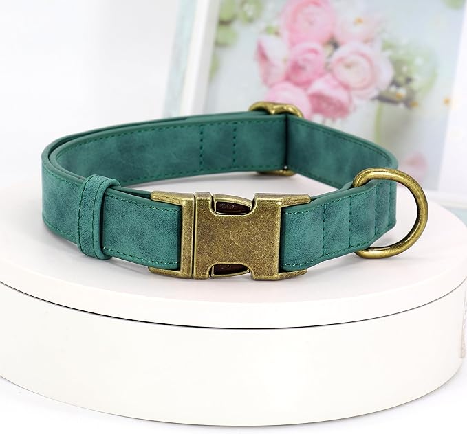 Didog Soft PU Leather Dog Collar, Stylish Quick Released Dog Collars for Medium Dogs, Easy Clean Adjustable Pet Collar for Daily Walking, Green, M Fit 13-21" Neck