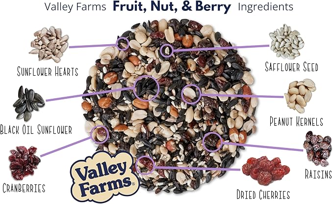 Valley Farms Fruit Nut & Berry (4 LB) Wild Bird Food Outside Feeders, Bird Seed with Dried Fruit, Peanuts, Sunflower, and Safflower, High Energy Mix for Healthy Birds!
