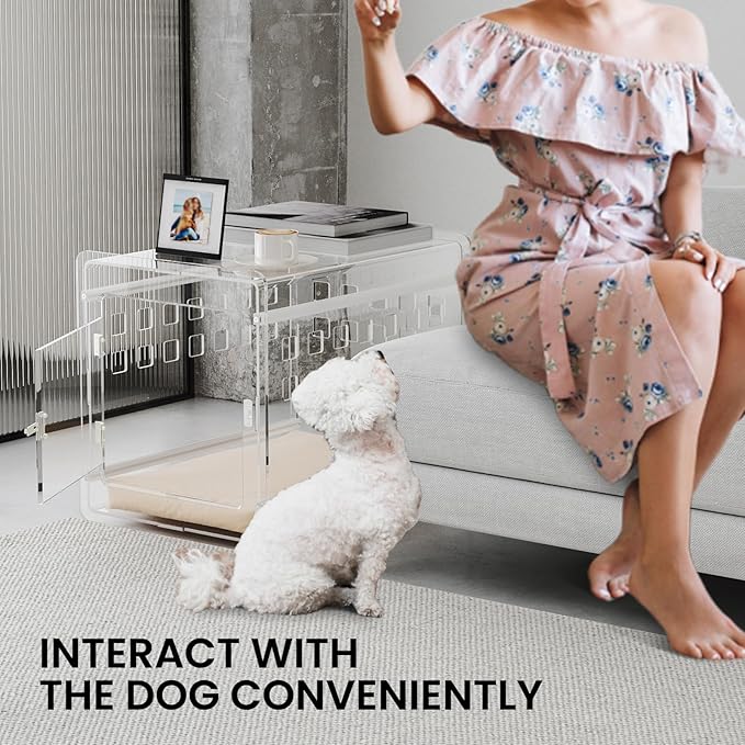 Sumerflos Clear Acrylic Dog Crate - Modern Dog Kennel Furniture, Indoor End Table Dog Crate Lockable Ventilated for Most Small Dog Cat Pet, 24.05" L x 17.99" W x 20" H