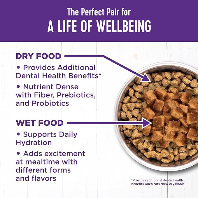 Wellness Complete Health Morsels Adult Wet Cat Food, Natural, Protein-Rich, Grain Free, 3 Ounce, 24 Pack, (Chicken Entrée)