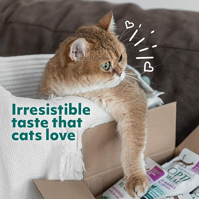 Optimeal Dry Cat Food - Healthy Balanced Nutrition for Immunity Support, Premium Nutrition Made with Natural Ingredients for Adult Cats, (8.8 lbs, Chicken & Brown Rice)