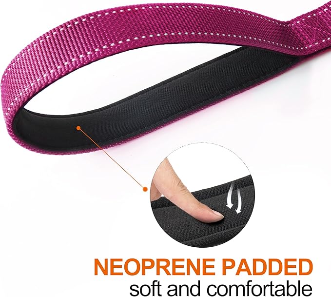 TwoEar 5FT 1IN Strong Rose Dog Leash with 2 Padded Handles, Traffic Handle Extra Control, Comfortable Soft Dual Handle, Auto Lock Hook, Reflective Walking Lead for Small Medium and Large Dogs