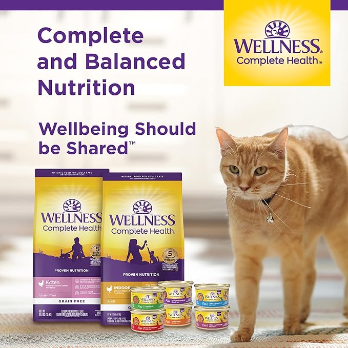 Wellness Complete Health Gravy and Minced Adult Wet Cat Food, Natural, Protein-Rich, Grain-Free, 3 Ounce, 12 Pack, (Chicken & Turkey Lovers Variety Pack)