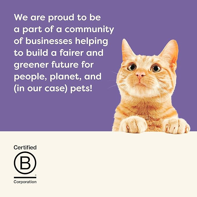 Applaws Natural Wet Canned Cat Food, Made with Limited and Natural Ingredients, Real Protein with No Artificial Additives, Chicken Selection Variety Pack in Broth (12 x 2.47oz Cans)