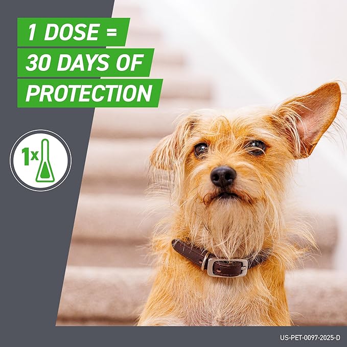 FRONTLINE Plus Flea and Tick Treatment for X-Large Dogs Up to 89 to 132 lbs. 3 Treatments