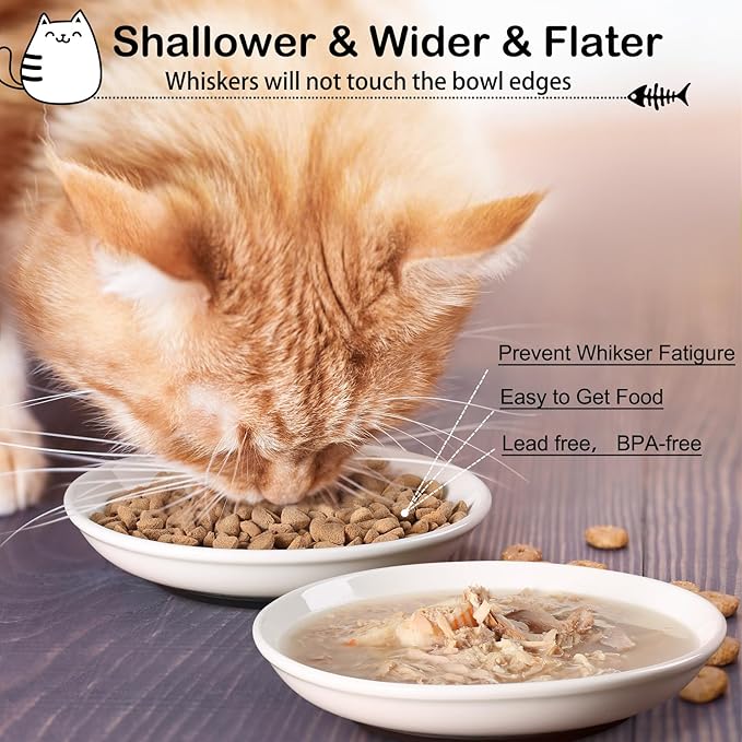 Cat Food Bowl,Healthy Ceramic Cat Bowls for Indoor Cats,Anti Whisker Fatigue Cats Dishes Set,Shallow Wide Kitten Plates for Food and Water,Non-Slip Silicone Bottom,6 Pack