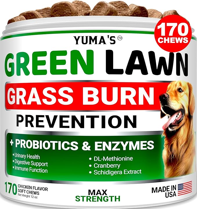 YUMA'S Dog Urine Neutralizer for Lawn - 170 Chews - Advanced Grass Green Savers for Dog Urine - Canine Pee Grass Neutralizer Supplement - Green Lawn Treats with Probiotics and Digestive Enzymes