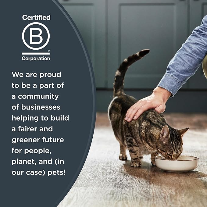 Reveal Natural Wet Cat Food, 18 Count, Grain Free, Limited Ingredient Cat Food Cups, Tuna with Shrimp in Broth, 2.12 oz Easy Peel Cups