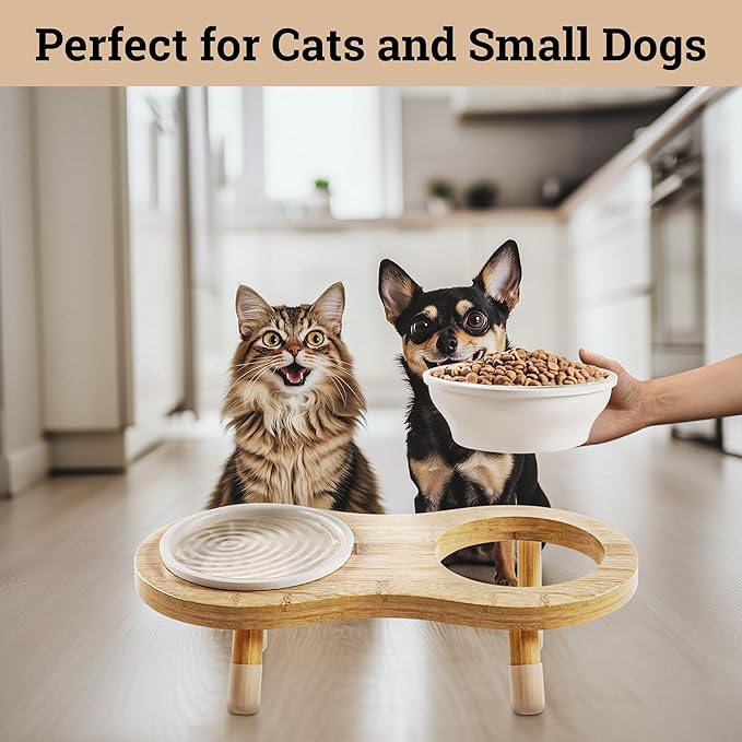 Elevated Cat Bowls - Set of 2 Ceramic Pet Food Bowls with Anti-Slip Bamboo Stand - 15 Degree Titled - Raised Dog Bowl for Small Dogs - Raised Cat Bowl Stand - Pet Feeding Station for Cats & Small Dogs
