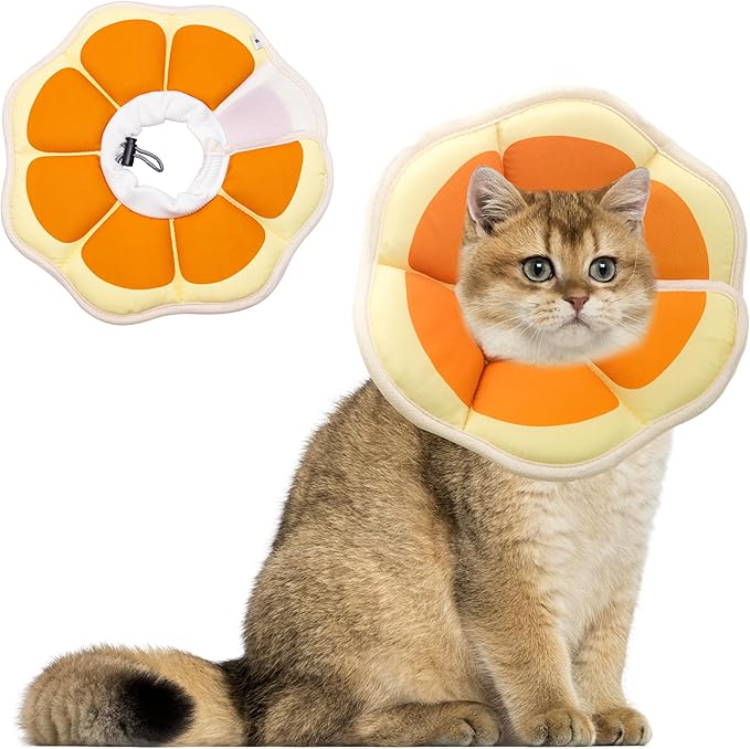 Soft Adjustable Recovery Collar - Comfortable Elizabethan Neck Protective Collar for Cats After Surgery (Orange, Small)