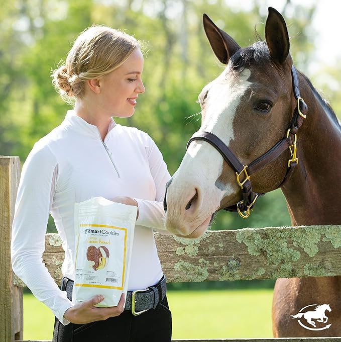 SmartEquine SmartCookies | Healthy Treats for Horses Made from Coconut Meal, Beet Pulp, Alfalfa, and Flaxseed Oil | No Sugar Added Horse Treats | Banana Bread Flavor Cookies for Horses, 3 lb Bag
