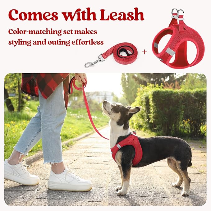 rabbitgoo Dog Harness Small Sized and Leash Set, Step in Soft Light Puppy Vest, Breathable Mesh Pet Harness, Reflective for Safe Easy Walking, Red XS