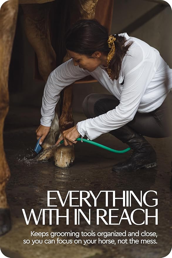 HORZE Smart Grooming Box for Horses, Dogs, Cats with Removable Tray | Non-Slip, Crack Resistant | 16" x 12" x 12" - Black - One Size