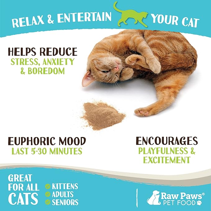 Raw Paws Silvervine Powder, 75 Grams - 2X More Attractive than Catnip for Cats, 100% Silver Vine Gall Fruit Powder, Matatabi Silvervine Cat Toy for Indoor Cats, Catnip Kitten Toys, Silvervine for Cats