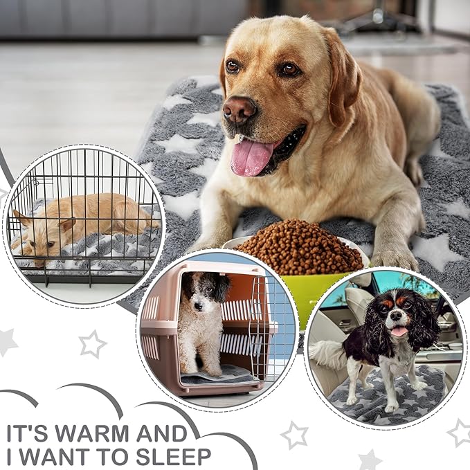 Reginary 4 Pcs Waterproof Guinea Pig Blankets Washable Small Animal Fleece Bedding Absorbent Guinea Pig Cage Liners Reusable Pet Pee Pad Sleep Mat for Hamster Ferret (Gray Star,24 x 16 Inch)