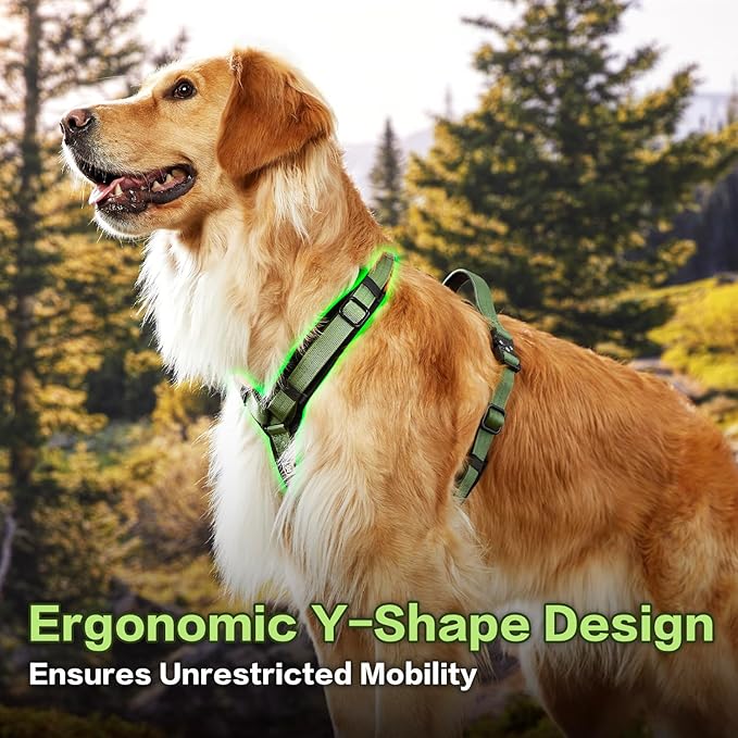 CLEPAWS Dog Harness for Small Dogs, No Pull Dog Harness Easy Walk with Metal Hardware, Ergonomic Y-Shaped Design, Soft Padding, Padded Handle, Durable High-Tensile Nylon (Evergreen, S)