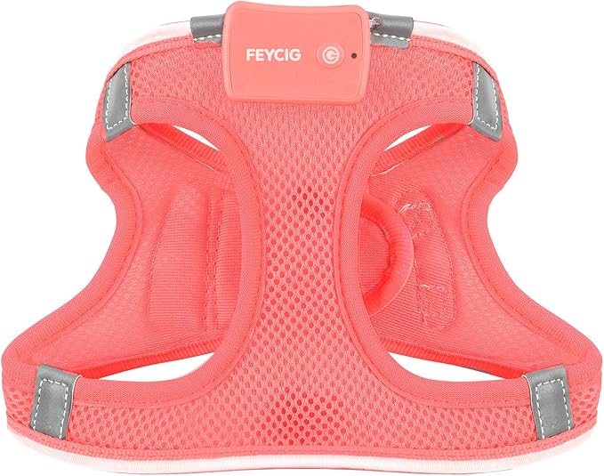 Light Up Dog Harness,Rechargeable LED Dog Harness for Small Medium Large Dogs,Reflective Lighted Safety Vest for Night Walking & Camping,Lightweight & Adjustable,Fluorescent Pink,XS