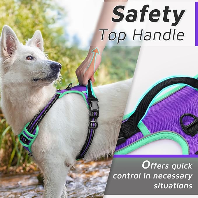 Eagloo Dog Harness for Large Dogs, No Pull Service Vest with Reflective Strips and Control Handle, Adjustable and Comfortable for Walking, No Choke Pet Harness with 2 Metal Rings, Purple & Green, XL