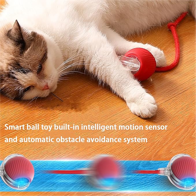 Interactive Cat Toy Ball for Indoor Cats - 3-Speed Smart Rolling Ball with Flashing Lights, USB Rechargeable Automatic Motion Kitten Toys for Bored Adult Cats & Playful Kittens