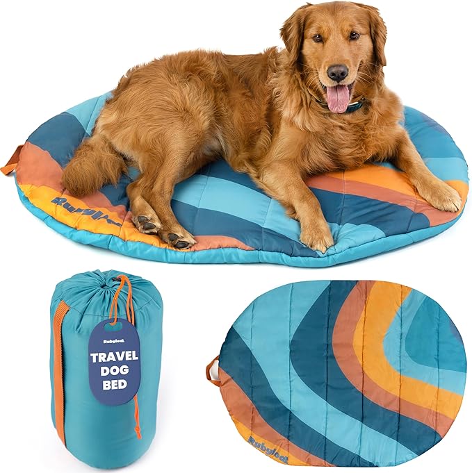 Travel Dog Bed (42" x 30") – Foldable, Packable Camping Dog Bed – Water Resistant, Cozy & Durable Mat with Soft Padding – Compact, Portable & Machine Washable – Large & Small Breeds - Teal