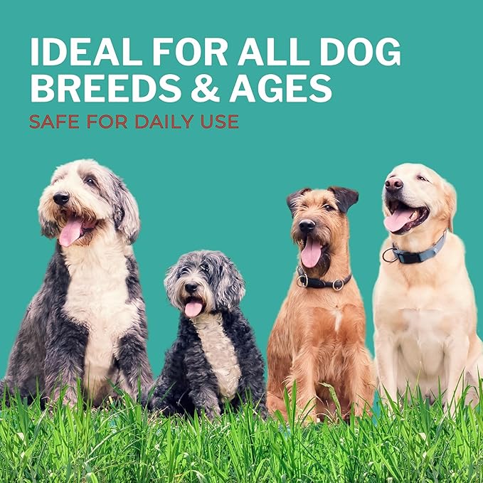 Shoo! Flea & Tick Spray for Dogs and Home | Plant Based, Natural Oils, Chemical Free Formula | Kills, Repels, Prevents | 16 oz (Morning Freshness)