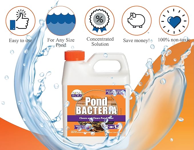 Pondworx Pond Bacteria - Concentrated & Formulated for Large Ponds, Water Features - Safe for Koi - 32ounes & Treats up to a Quarter Acre Pond