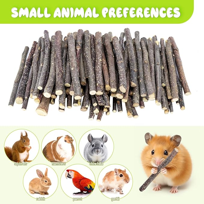 600g Small Apple Sticks Animals Molar Wood Treats Toys for Rabbits Chinchillas Guinea Pig Hamster Gerbil Parrot Bunny Chew Stick Toys Treats, 21.2 OZ