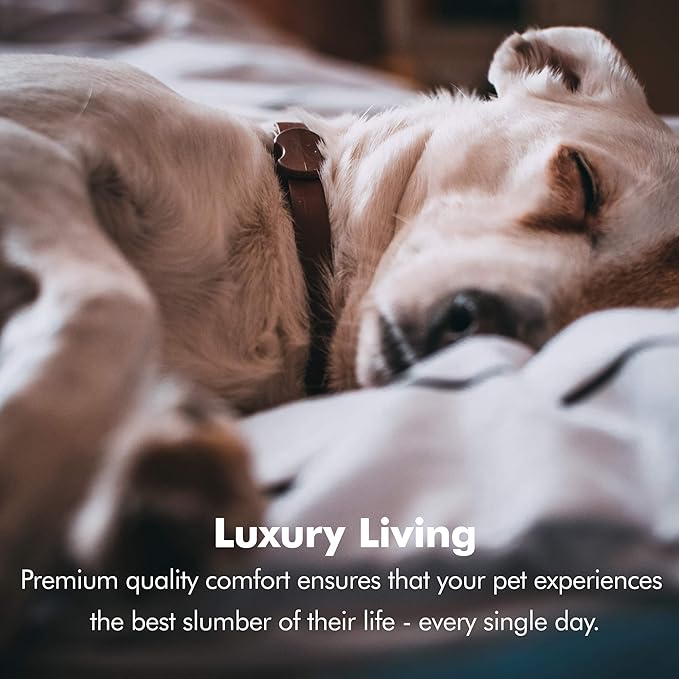 Friends Forever Small Dog Bed, Orthopedic Sofa Memory Foam Mattress, Calming Couch, Wall Rim Pillow, Water Resistant Liner, Washable Cover, Non-Slip Bottom, Chester, Small Khaki Beige