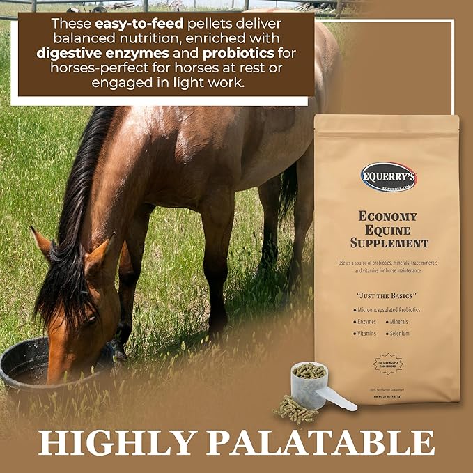 Equerry's Economy Equine Supplement - Horse Probiotics | Supplement for Horses | Horse Vitamins and Minerals Supplement with Enzymes and Selenium,20lb