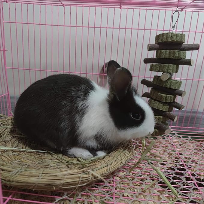 Rabbit Chew Toys for Teeth Grinding Bunny Treats 100% Natural Wood Timothy Grass Treats for Guinea Pigs Chinchillas Hamsters 4pcs