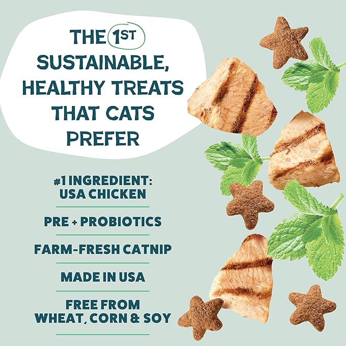Shameless Pets Crunchy Cat Treats - Catnip Treats for Cats with Digestive Support, Kitten Treats with Real Chicken, Natural & Healthy Flavored Feline Snacks - Catnip N Chill, 1-Pk (12 Oz)
