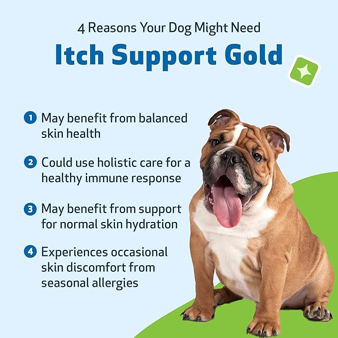Pet Wellbeing Itch Support Gold for Dogs - Occasional Itching, Scratching, and Hot Spots, Environmental and Seasonal Allergies, Dong Quai - Veterinarian-Formulated Herbal Supplement 2 oz (59 ml)