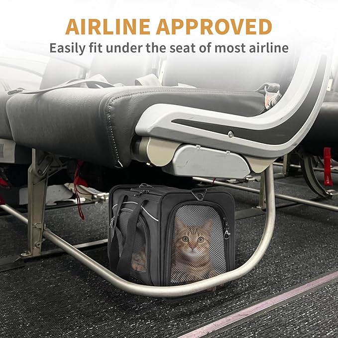 ‌Petsfit Airline Approved Pet Carrier for Small Cats, 16.5x8.6x11 TSA Approved Carrier, with Removable Dual-Sided Padding (2-Way Placement) - Fits Under Most Airplane Seats, Escape Proof (Black)
