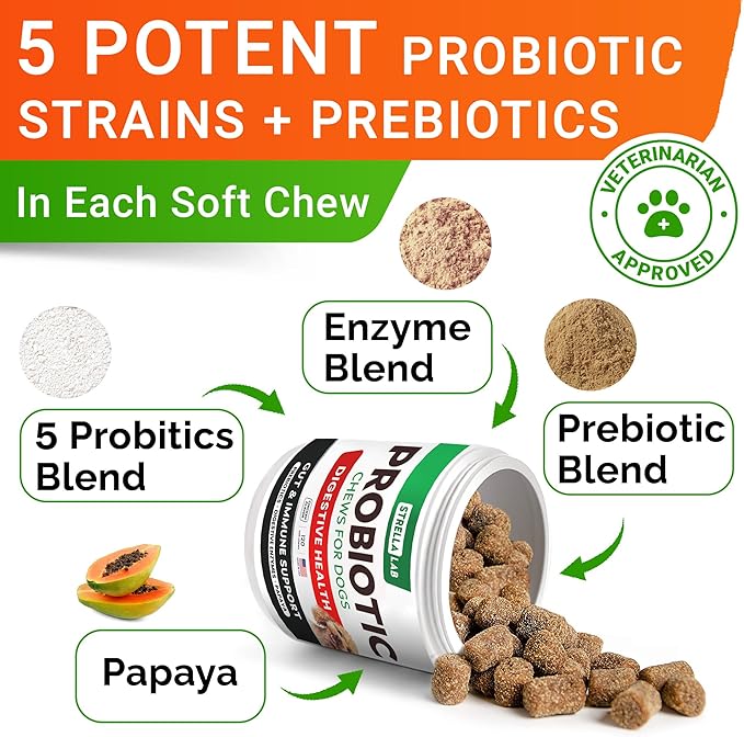 STRELLALAB Pet Probiotics for Dogs & Digestive Enzymes + Digestion & Gut Health Treats, Dog Probiotics Chews, Fiber Supplement, Anti Diarrhea, Constipation, Upset Stomach&Gas Relief, Canine Prebiotic