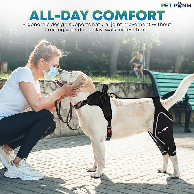 Dog ACL Knee Brace for Back Left Leg - with Integrated Harness - for Cruciate Ligament Injuries, Patellar Luxation, Post-Surgery Recovery. Durable, Breathable Material, Eases Pain - (Large)