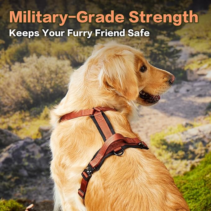CLEPAWS Dog Harness for Medium Dogs, No Pull Dog Harness Easy Walk with Metal Hardware, Ergonomic Y-Shaped Design, Soft Padding, Padded Handle, Durable High-Tensile Nylon (Canyon Red, M)