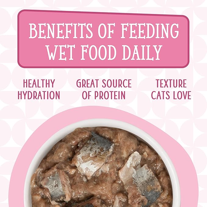 Weruva Cats in The Kitchen, Kitty Gone Wild Wet Cat Food, 10oz Can (Pack of 12)