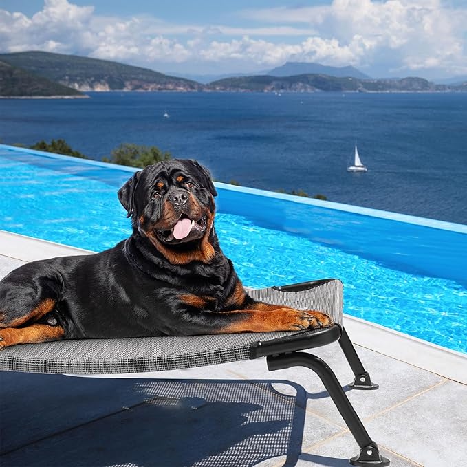 Veehoo Outdoor Elevated Dog Bed, Cooling Raised Dog Cot Bed XL, Portable Waterproof Curved Dogs Hammock Beds for Outside, up to 150lbs, Black Legs, Black Silver 49"