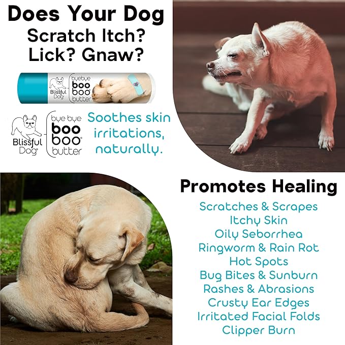 The Blissful Dog Greater Swiss Mountain Boo Boo Butter, 16 oz.