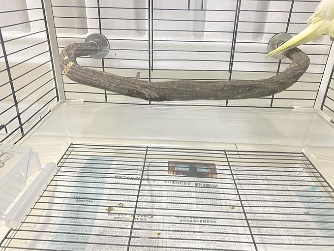 Parrot Perch Stand Bird Cage Stand Pole Natural Wild Grape Stick Grinding Paw Cage Accessories for Parakeet Cockatiels Budgies Conure Lovebirds Platform (U-Shaped)