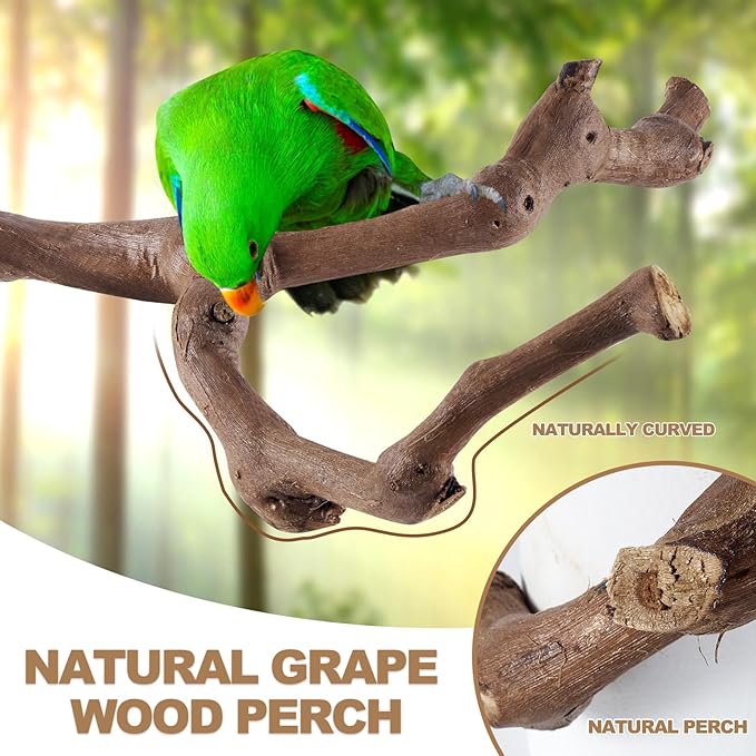6-Piece Bird Perch Set - Natural Wood Grape Sticks, Paw Grinding Forks, Bird Stand & Toys for Parakeets, Cockatiels, Conure, Budgies