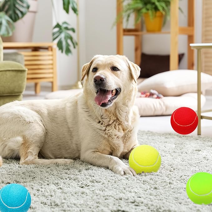 Large Dog Tennis Balls, 4 inch Interactive Big Dog Toy Ball for Small Medium Large Dogs, 4-Pack Dog Toys for Outdoor/Indoor Sports, Fetch, Training & Play