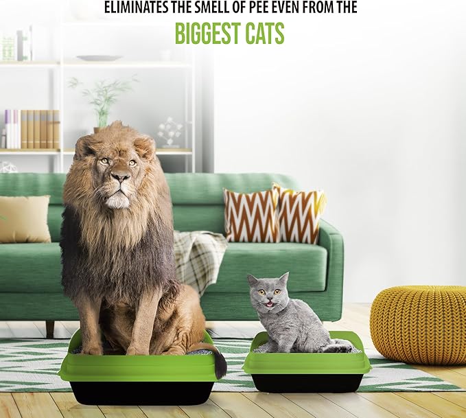 Skoon All Natural Cat Litter (3 Bags) - Original - Lightweight, Low Tracking, Non-Clumping Diatom Pebbles Absorb, Lock, and Seal Waste for Best Odor Control